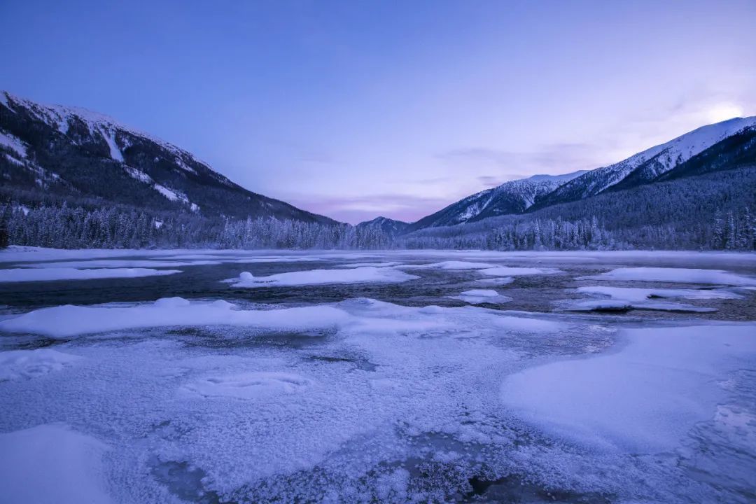 喀纳斯|喀纳斯,西北边境的原始小城,跨越千山万水,只为一刻的心灵悸动