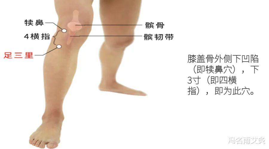 健脾|健脾：脾不好的看过来，这组穴位健脾升阳养胃