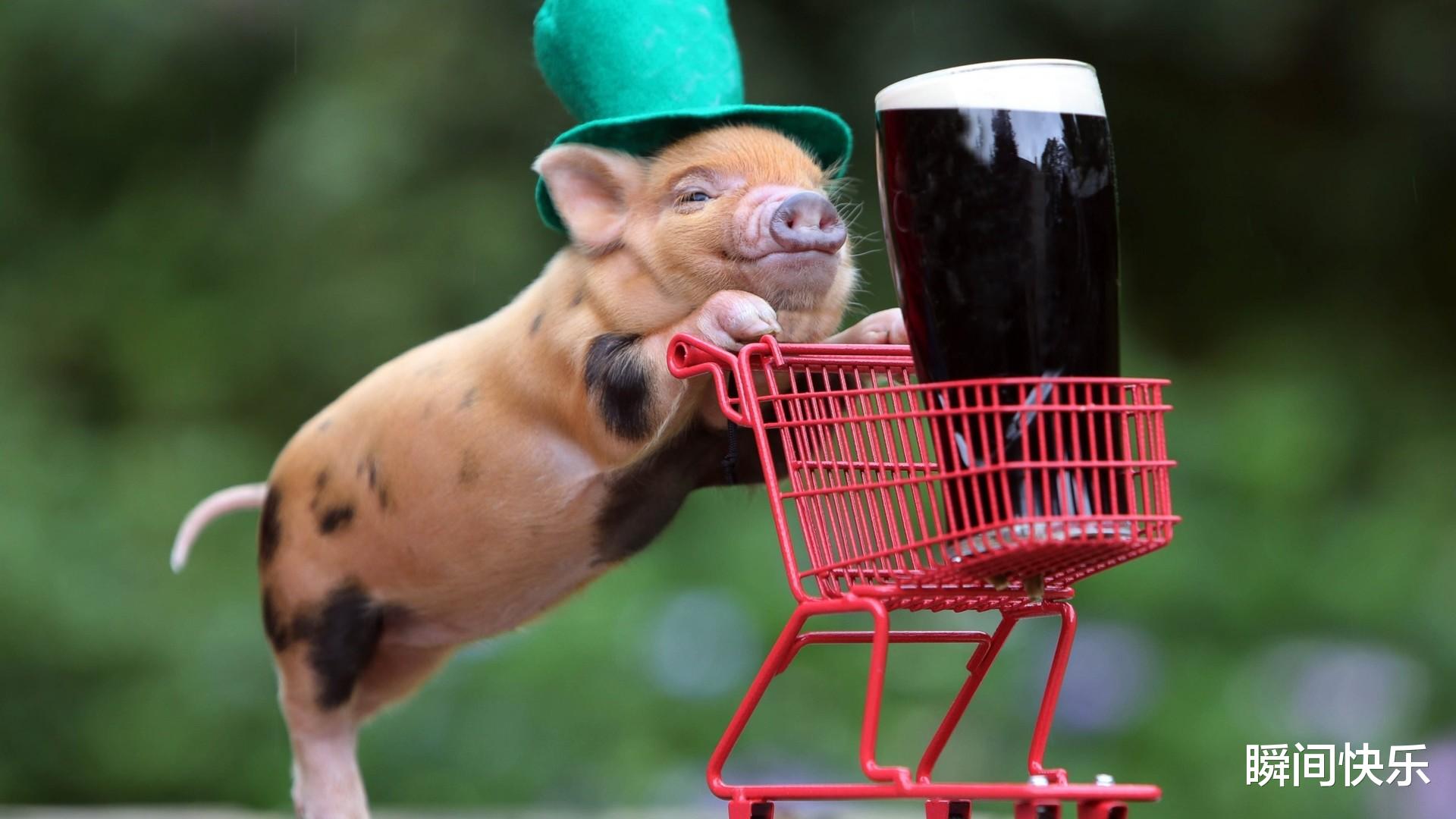 哈尔滨|1月13日-1月28日，蓄势待发的三生肖，闯出名堂，生活如愿以偿