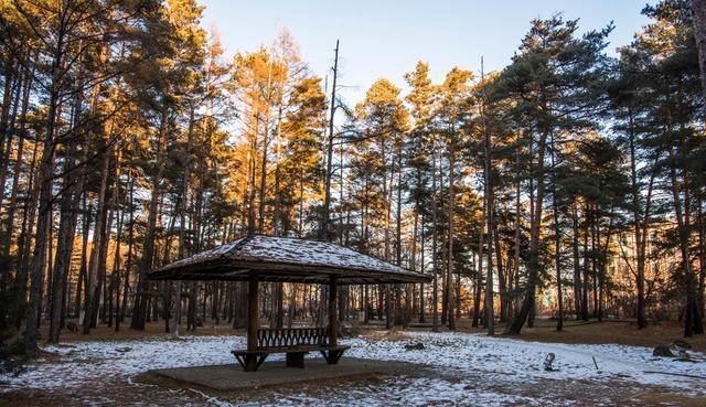 古镇|中国和朝鲜交界处有个二道白河镇,有珍稀美人松,还是旅游集散地