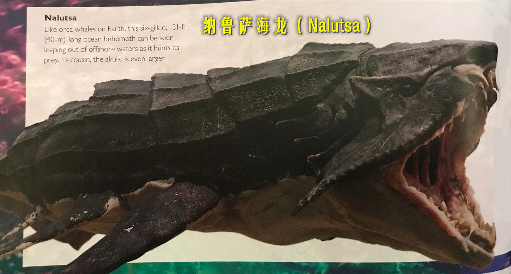 《阿凡达2》的“飞鱼”是什么怪物?新生物与《阿凡达4》密切相关