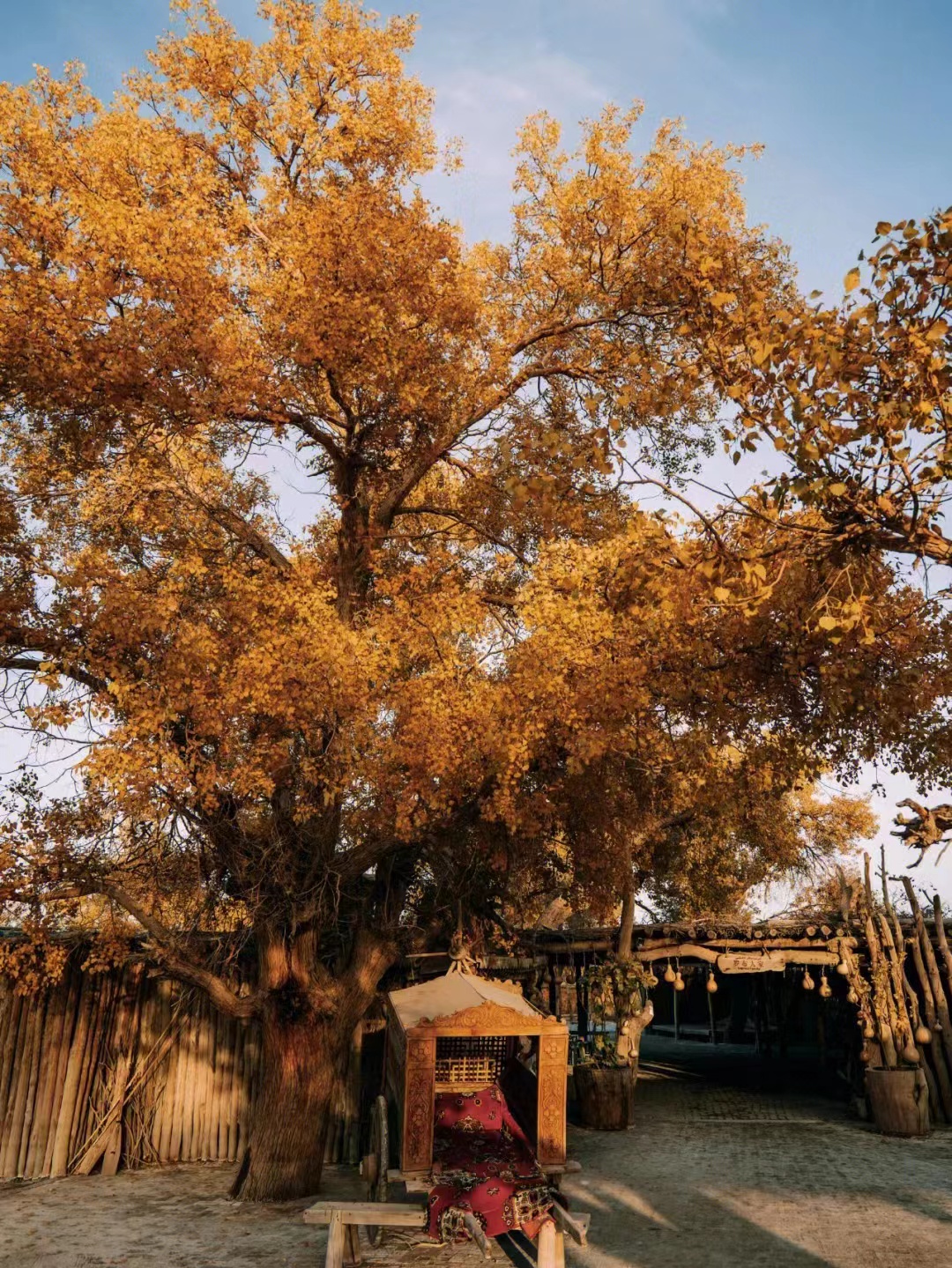 跨年|元旦去哪儿玩？8条元旦自驾游路线攻略请收好