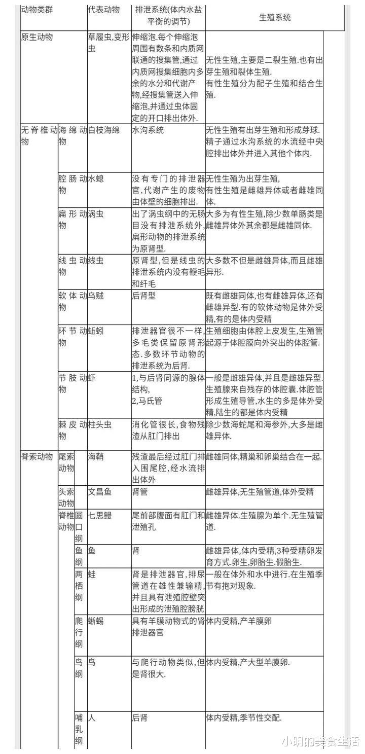 为什么哺乳动物的生殖系统都是长在两腿之间?
