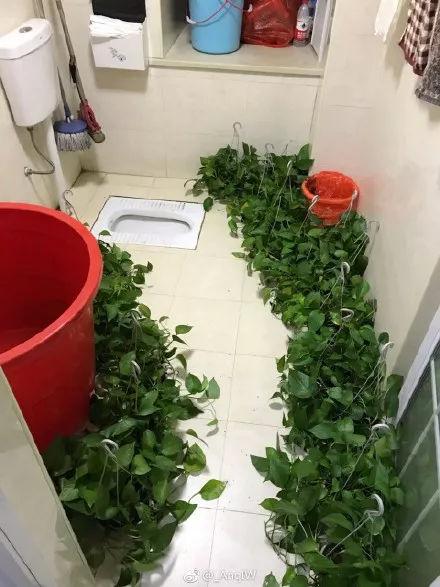 看完爸妈的装修，以后过年再也不想回家了......