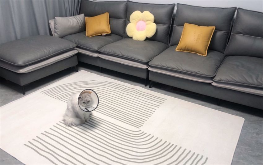 说句实话:家里这6类用品既不实用又占地方,有的赶紧处理了!