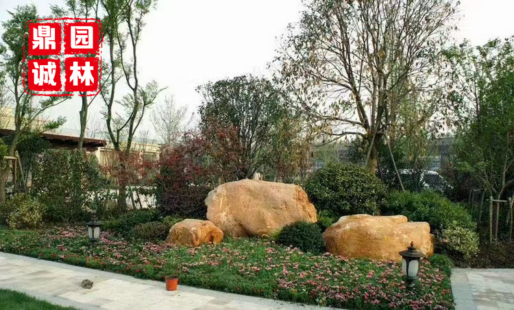 庭院景观 黄蜡石假山点缀造景庭院空间