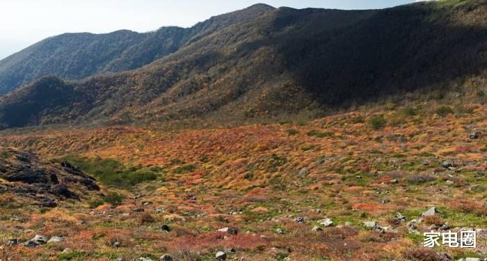 价格战|今年家电市场竞争新走势:价格战不会停,但价值战要冲刺