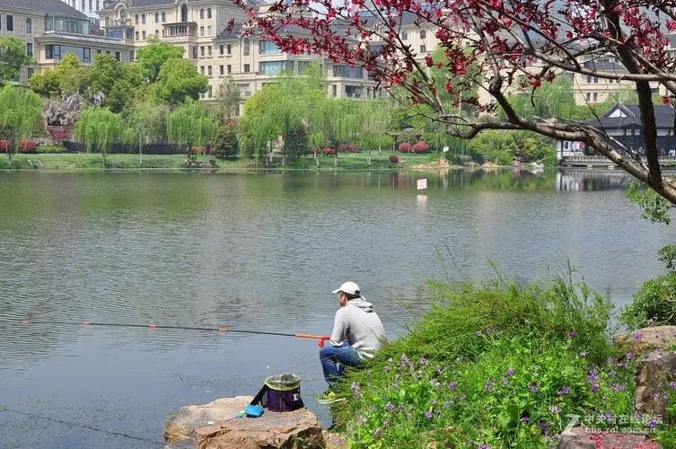 饵料|初春垂钓没鱼口?掌握住这4款饵料配方,鱼会越聚越多