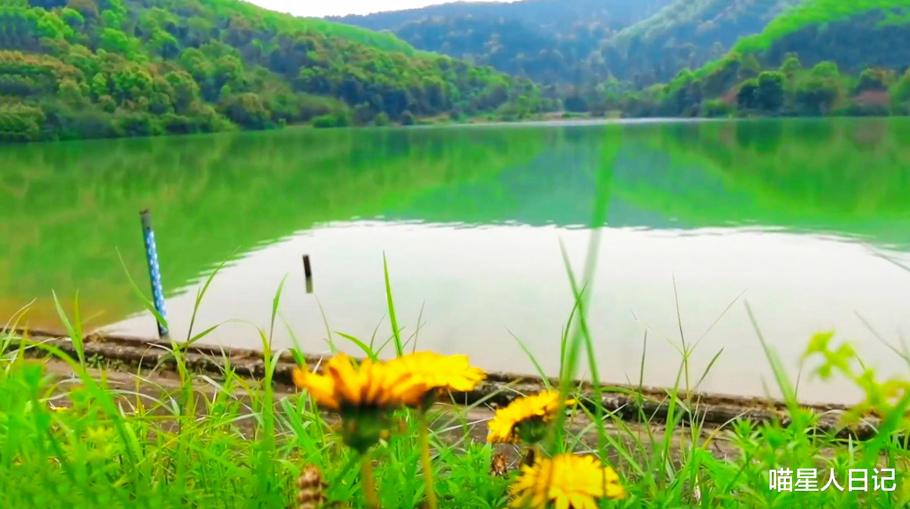 |游逛武汉郊区这座无名水库，盘山公路环绕在森林里，岸边有钓鱼人