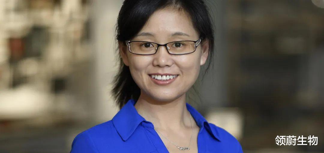 探索长寿的奥秘以造福人类,王萌教授研究揭示溶酶体对寿命的调控
