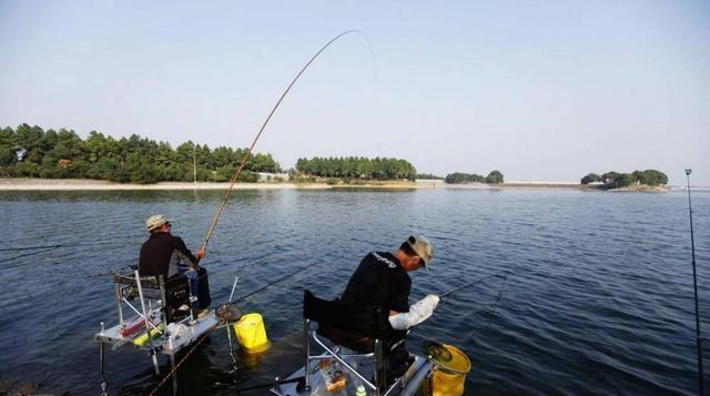 饵料|夏至过后钓鱼，学会这几招，别人空军你爆护，大鱼小鱼任你钓2