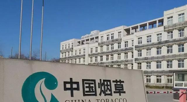 招聘|“停止对俄出售！”四大烟草公司宣告后，中国烟草：那我不客气咯