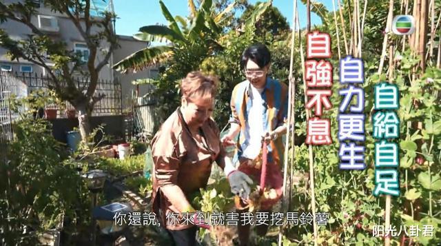 豪宅|名气不大赚得不少,6位港星在内地买豪宅,个个都是“隐形”富豪