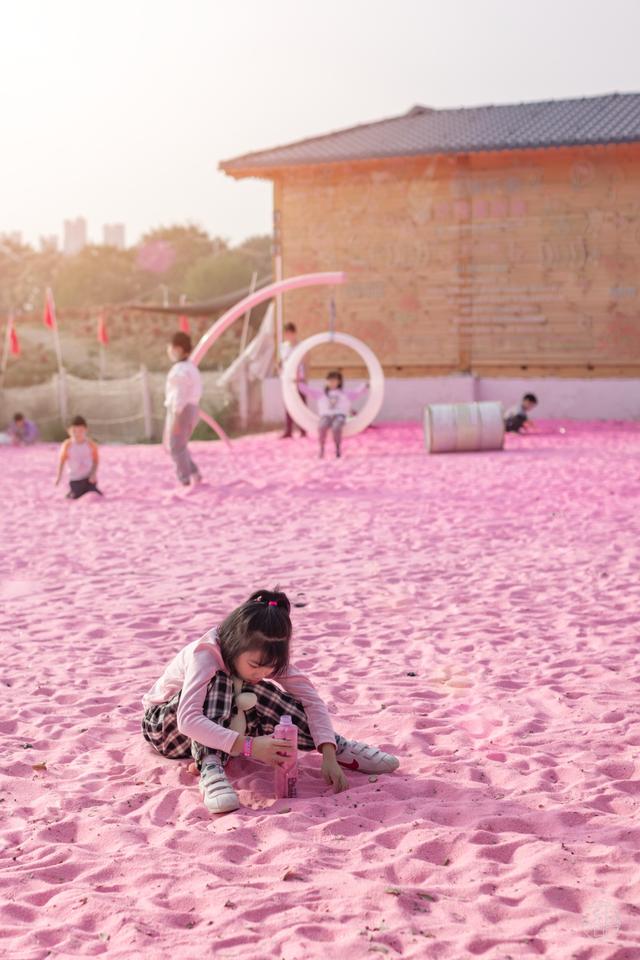 马鞍山森林公园|全武汉最大的地肤花海红了!快来打卡