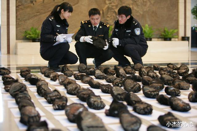 死得很憋屈的动物:躲过天敌追杀,却被自己杀死?好笑又心酸