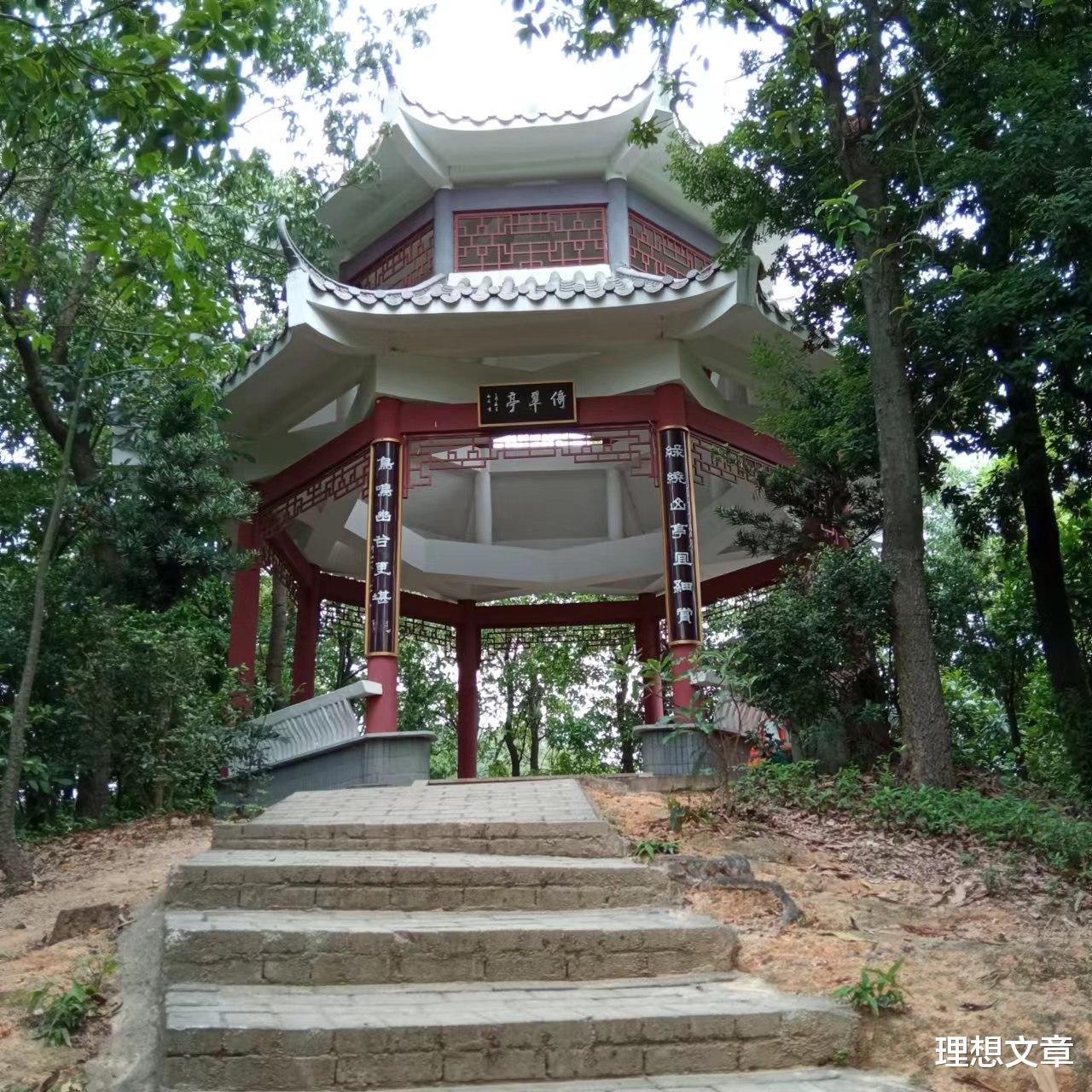 龙虎山|登山去，心静路远人亦稀