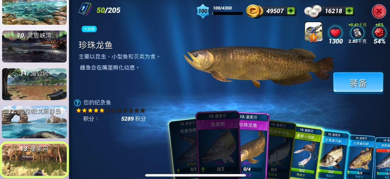 |可佛系可刺激《钓鱼大对决》都市之外独属于你的钓鱼乐土