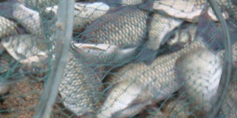 |破解野钓10大难题,钓鱼新手必修课