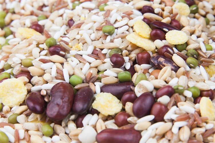 米饭|多吃主食死得快?米饭其实是最“垃圾”的主食?告诉你真相