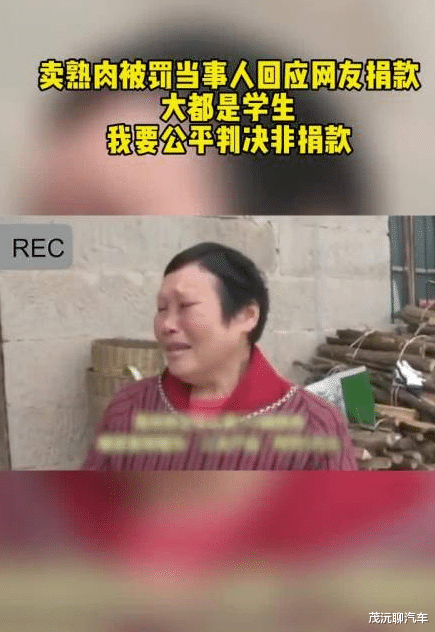 |职业钻法律空子诈骗5万元，卖熟肉被罚当事人谢绝网友捐款