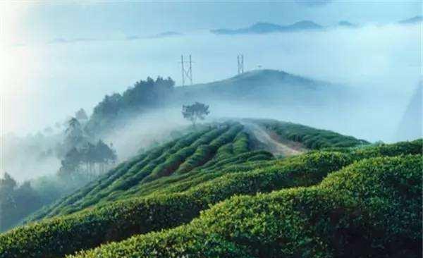 南京|贵州又一景区因高质量走红，景色不输梵净山，却鲜有人知