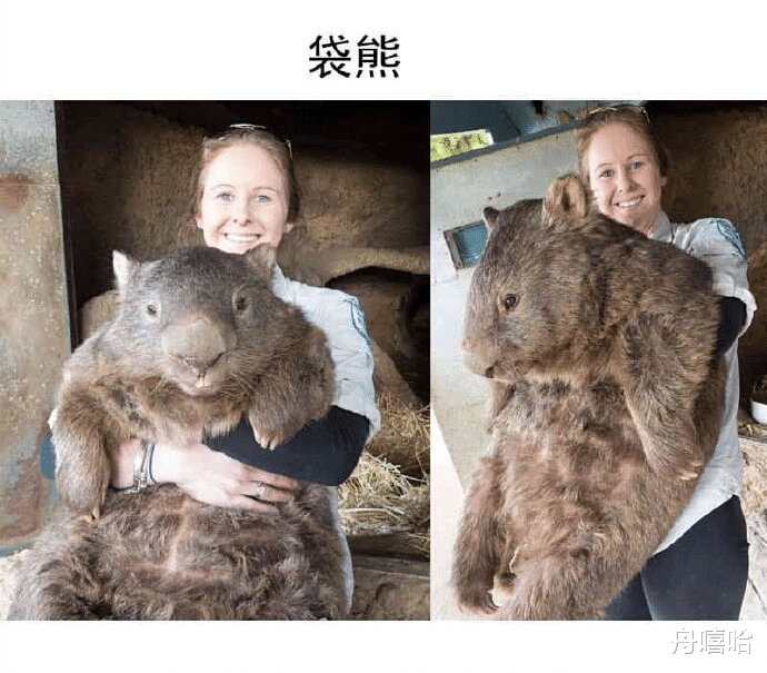 没有“参照物”,我们很难看清这个真实的世界