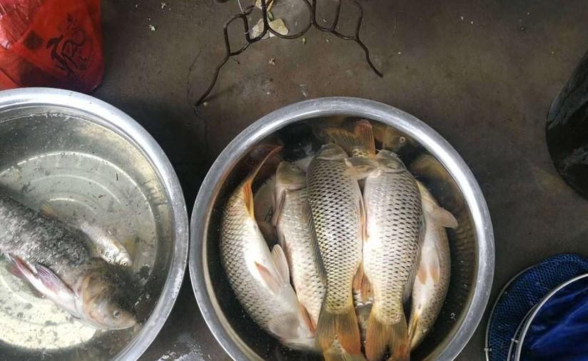 |钓鱼调浮漂只是基础，会看浮漂才是关键，新手学会看6个漂相足够