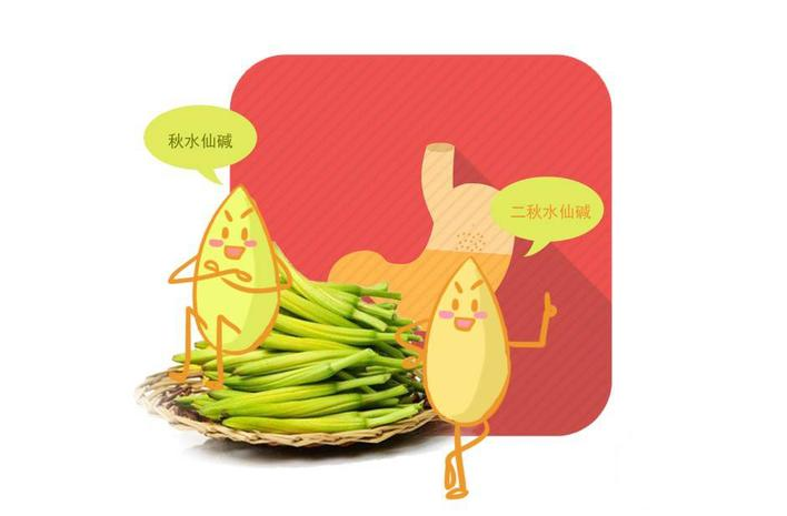 脂肪酸|倾尽一生的养生竟然是“养生误区”!7个坑,养生不成反伤身