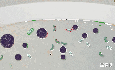 判断一个女人是否“干净”,看她家里这4个地方,你就明白了!