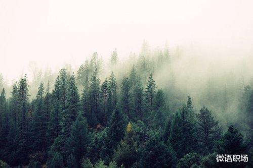 智商税|不懂人情世故，你拿什么混社会？7条职场为人处世之道，醍醐灌顶