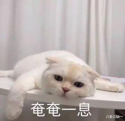 刘畊宏|他怕不是什么新型“家暴”创始人hhh，嫂子真难啊！