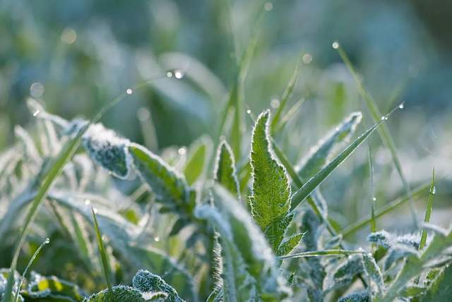 养生|寒露后养生：“3秋2鱼”不错过，“4不5要”保平安