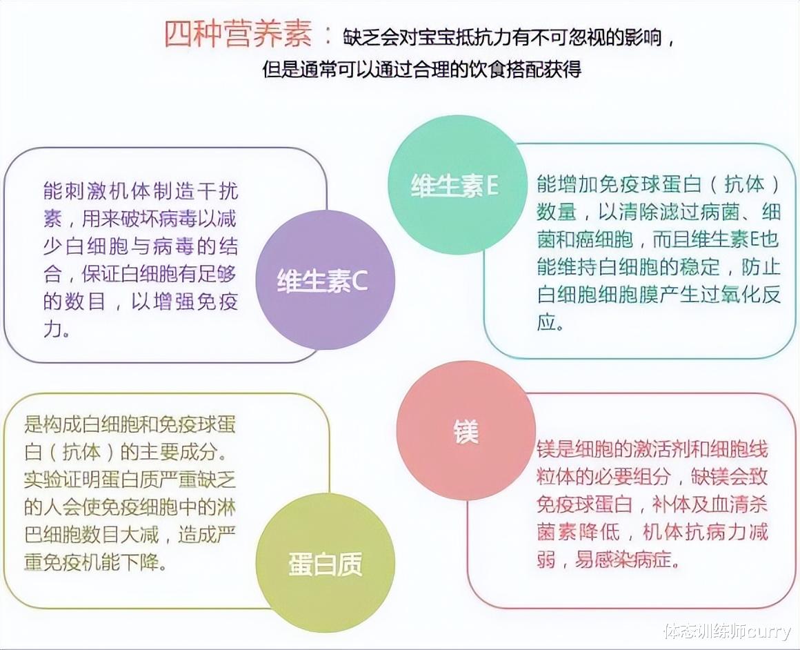 蛋白质|27岁韩国人气博主，体重130斤，大码身材照样可以很甜
