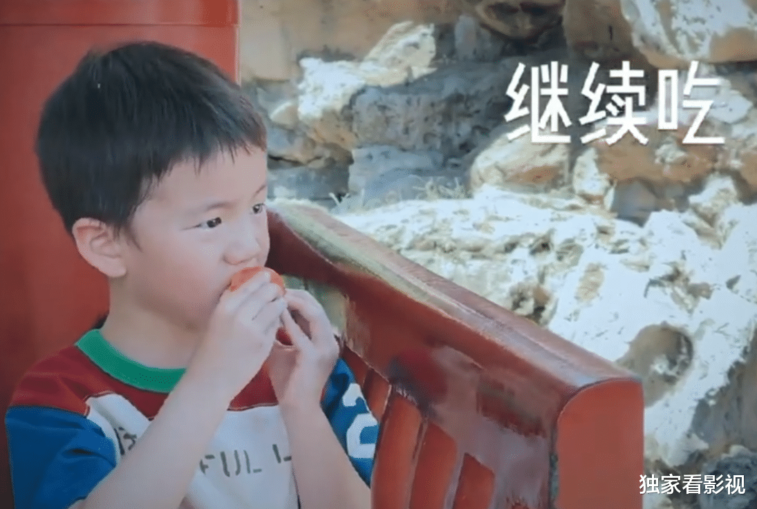 黄磊|黄磊三胎儿子露正脸，单眼皮、性格安静神似二姐，一家五口高颜值