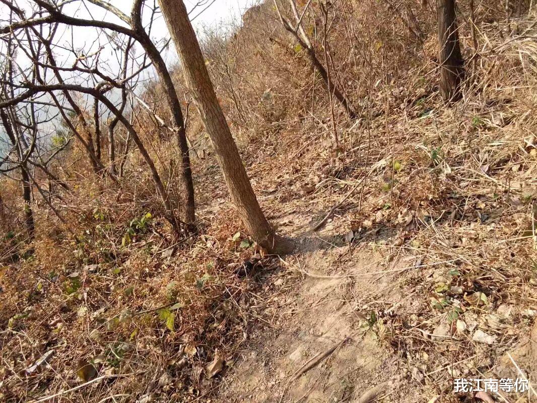 两个青年男子上山游玩，被一群中年道姑抓进道观里，一个月后变得骨瘦如柴
