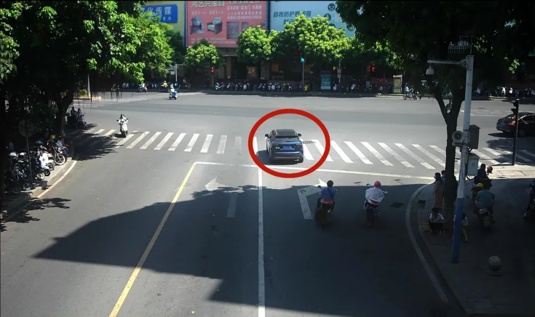 曝光!这些车主有你认识的吗?闯红灯不按导向行驶,无视交通法则!
