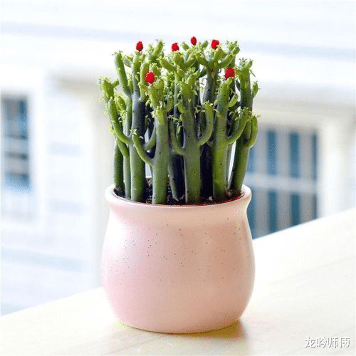 运势|龙吟师傅：出租房要注意的风水问题