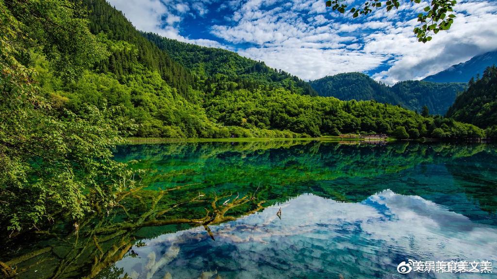 |夏天的九寨沟,绿意盎然,水幽蓝深邃,太美太凉爽