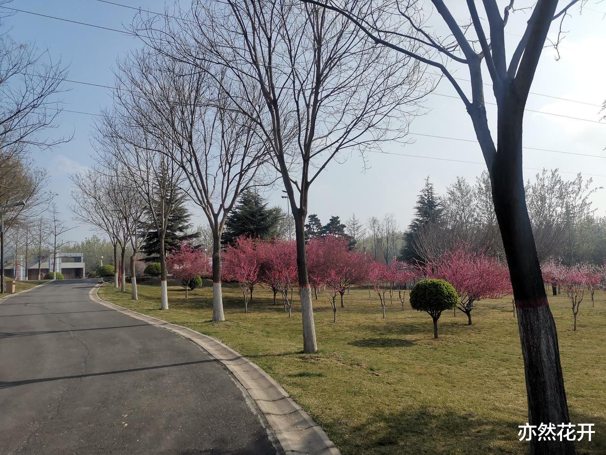 职场故事|职场写作：合同的写作技巧