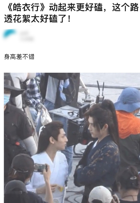 陈飞宇|瞧把人逼成啥样了，这要不红天理难容！