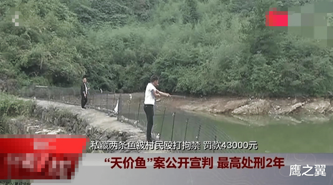 江口|2018年,钓鱼人私藏两条鱼被塘主罚4万3,塘主被判2年!纪录片