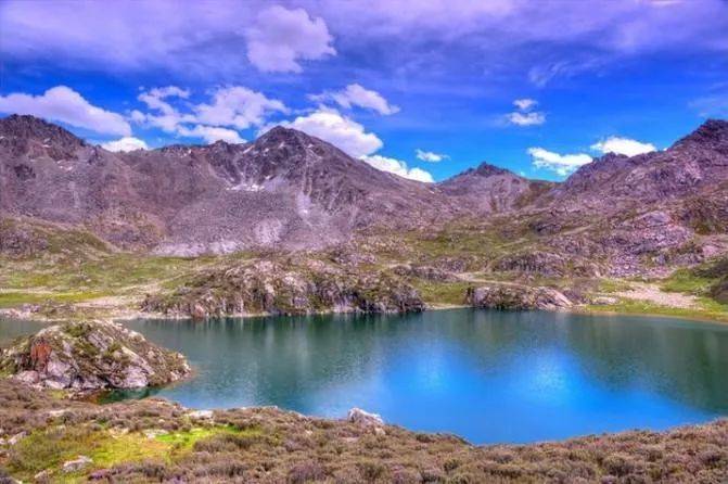 高原|5月26日开园！！俄么塘花海，已经开始美了！