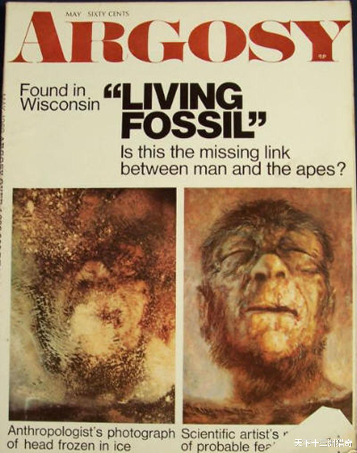 55年前,美国“明尼苏达冰人”是森林人?是人和猿间的过渡生物吗