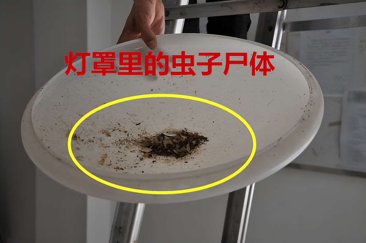 刚乔迁新房濒临崩溃！犯了11个天怒人怨的装修坑，老婆直接气晕了