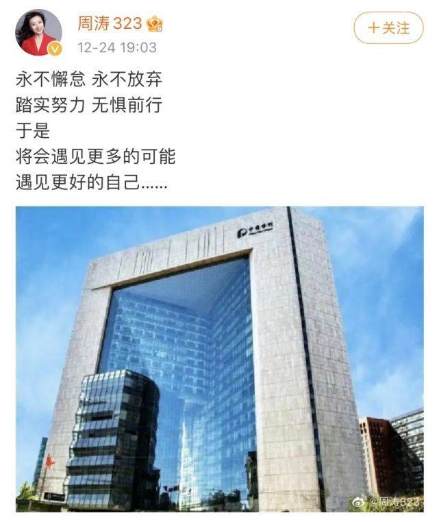 周涛|恭喜恭喜！央视前主持人周涛传出喜讯！