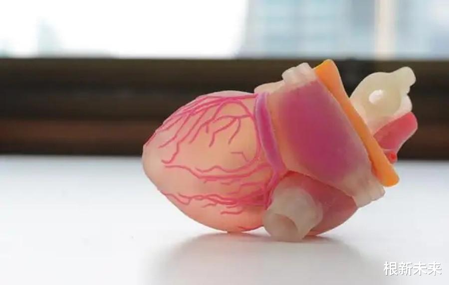3D打印|从3D打印到3D器官打印，人类离打印生命还有多远的距离？