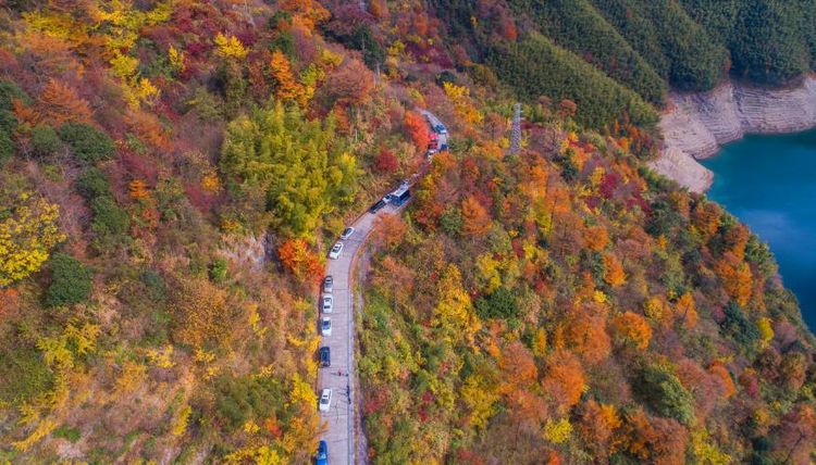 灵山|宁波自驾游攻略,不可错过的沿途六大美景,让你开启一场赏秋之旅