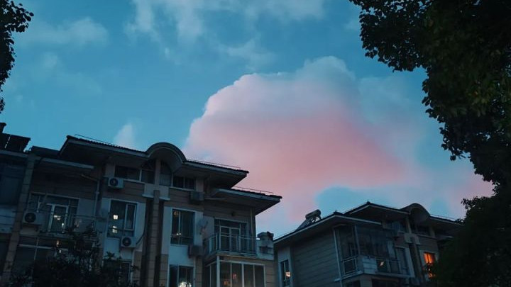 求职|在夹缝中的网课一代人