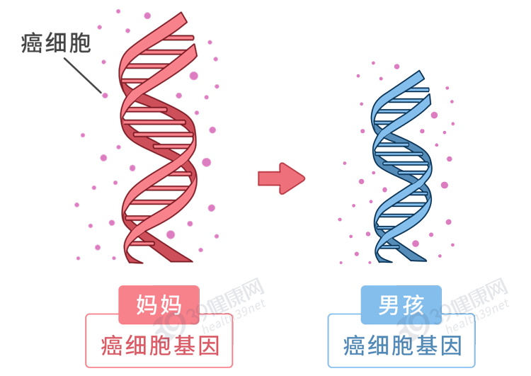 基因|一个残酷的事实:老一辈患有这5种癌症,可能会“传”给下一代
