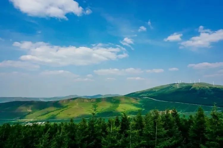 草原|栖徙·旅居精心为您推荐高品质的草原目的地(上)